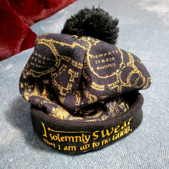 Other - Harry Potter beanie